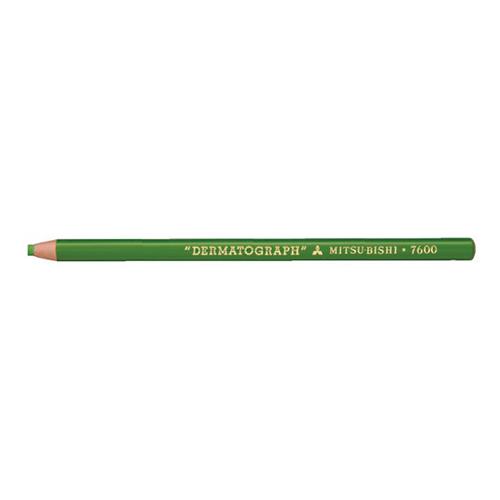 油性色鉛筆(12本/黄緑)