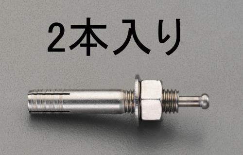 M12x100mm 雄ネジアンカー(ステンレス製/2本)